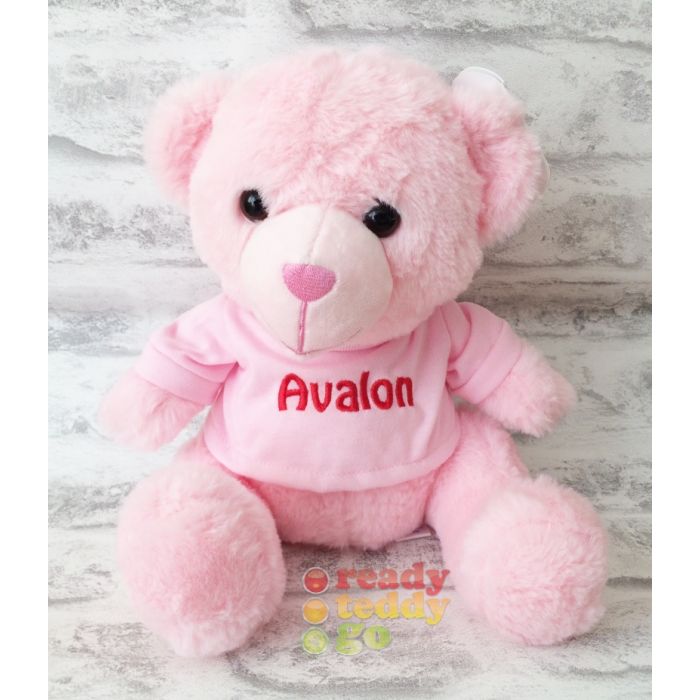 Pink Teddy Bear with T shIrt