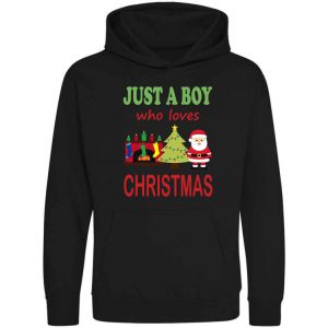 Just a Boy / Girl who loves CHRISTMAS Childrens Hoodie