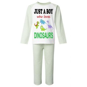 Just a Boy / Girl who loves DINOSAURS Childrens Pyjamas