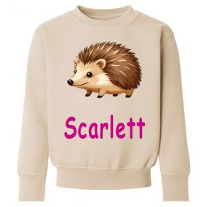 Hedgehog Any Name Childrens Sweatshirt / Jumper