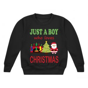 Just a Boy / Girl who loves CHRISTMAS Childrens Sweatshirt / Jumper