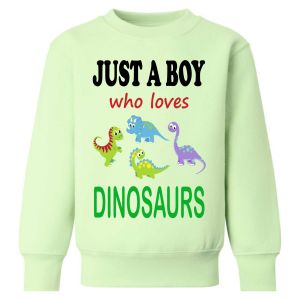 Just a Boy / Girl who loves DINOSAURS Childrens Sweatshirt / Jumper