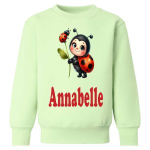 Ladybird Any Name Childrens Sweatshirt / Jumper