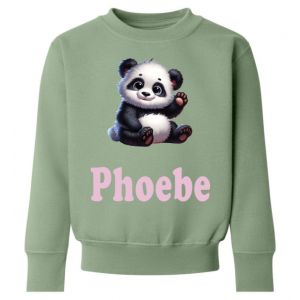 Panda Any Name Childrens Sweatshirt / Jumper