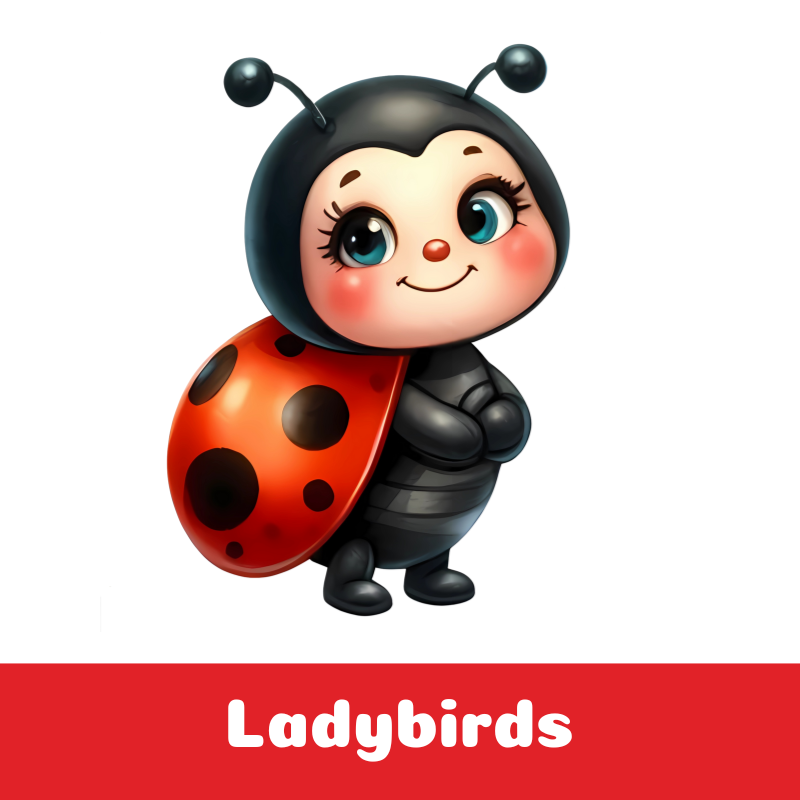 Ladybirds