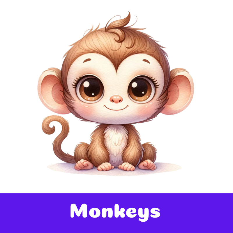 Monkeys