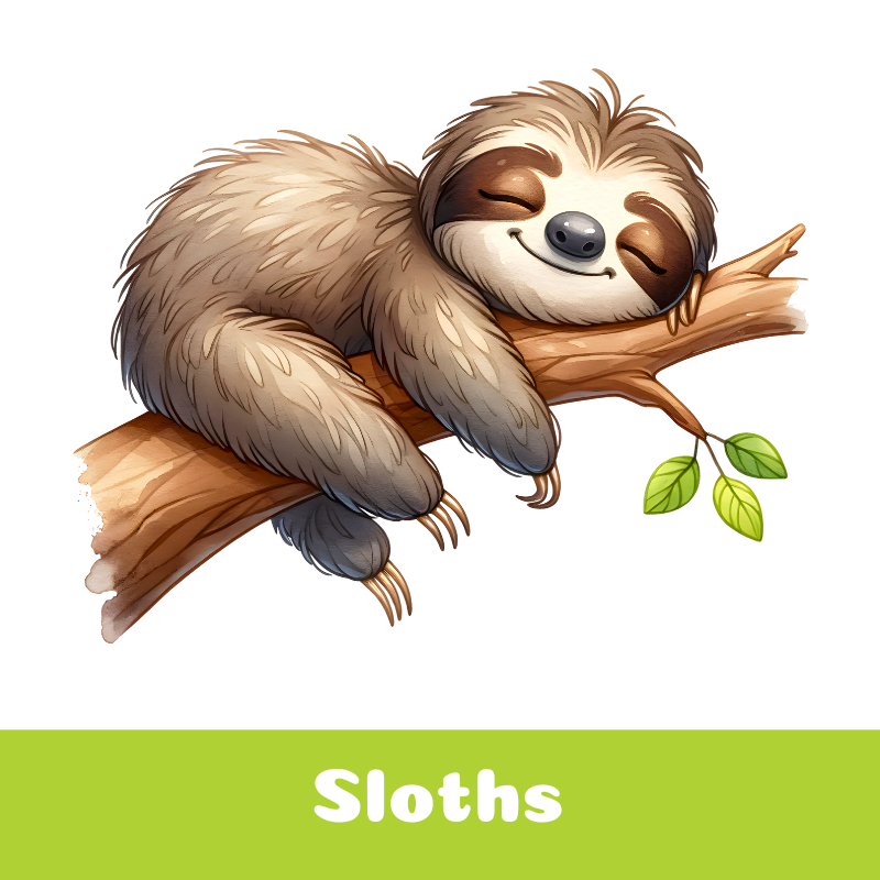 Sloths