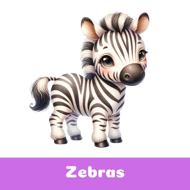 Zebras